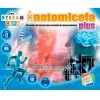 Anatomicefa Plus