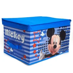 Baul Guarda Juguetes