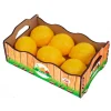Cesta Limones