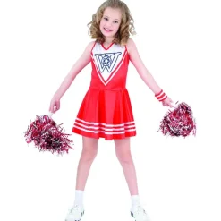 Disfraz de Animadora