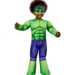 Disfraz Hulk