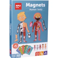 El Cuerpo Humano Juego Magnético