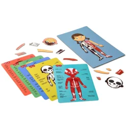 El Cuerpo Humano Juego Magnético