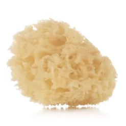 Esponja natural 2 unidades