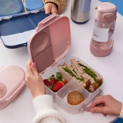 Fiambrera Mini Lunchbox Rosa