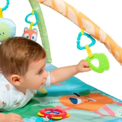 Gimnasio Manta Activity