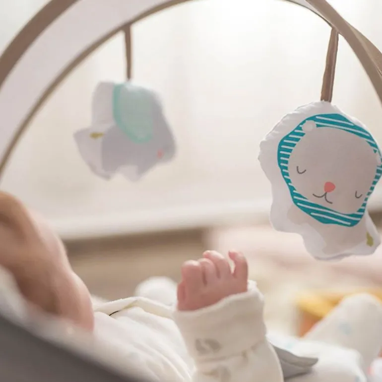 Hamaca musical Evolutiva Birds