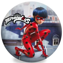 Ladybug Pelota de PVC de 24cm