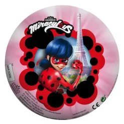 Ladybug Pelota PVC de 14 cm