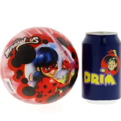 Ladybug Pelota PVC de 14 cm