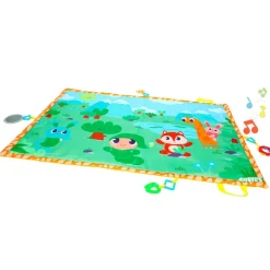 Manta Gigante Activity