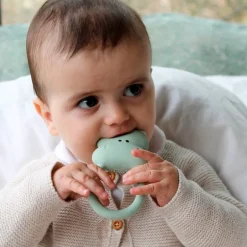 Mordedor sonajero Caucho Hipo