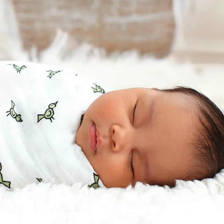 Pack 4 Muselinas de algodón Jungle Jam