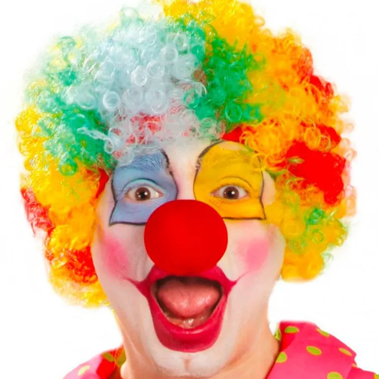 Peluca Rizos Multicolor