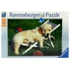 Puzzle Cachorros Golden Retriver 500 Piezas