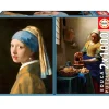 Puzzle Vermeer 1000 Piezas