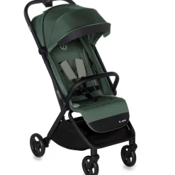 Silla paseo Clap + 26kg Botanic