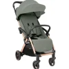 Silla paseo Eden 22kg Verde