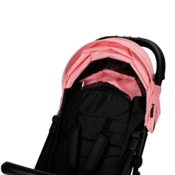 Silla paseo Minimum Plus Space +22kg Rosa