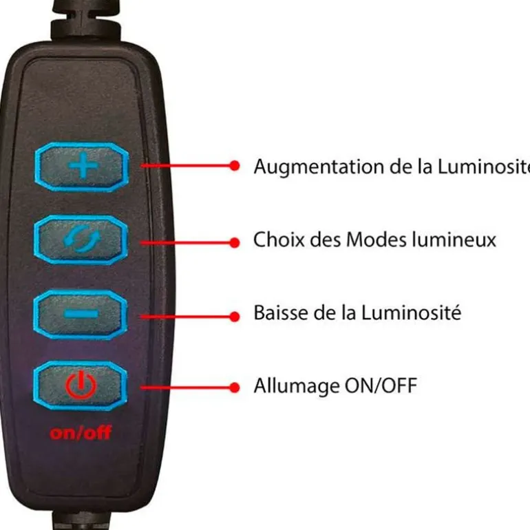 Studio Creator Creador de Vídeos